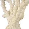 imageDeco 79 Polystone Coral Decorative Sculpture Home Decor Statue with Clear Acrylic Base Accent Figurine 26quot x 8quot x 23quot Cream26 x 8 x 23