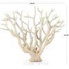 imageDeco 79 Polystone Coral Decorative Sculpture Home Decor Statue with Clear Acrylic Base Accent Figurine 26quot x 8quot x 23quot Cream26 x 8 x 23