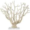 imageDeco 79 Polystone Coral Decorative Sculpture Home Decor Statue with Clear Acrylic Base Accent Figurine 26quot x 8quot x 23quot Cream26 x 8 x 23