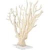imageDeco 79 Polystone Coral Decorative Sculpture Home Decor Statue with Clear Acrylic Base Accent Figurine 26quot x 8quot x 23quot Cream26 x 8 x 23