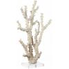 imageDeco 79 Polystone Coral Decorative Sculpture Home Decor Statue with Clear Acrylic Base Accent Figurine 26quot x 8quot x 23quot Cream9 x 4 x 14