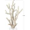 imageDeco 79 Polystone Coral Decorative Sculpture Home Decor Statue with Clear Acrylic Base Accent Figurine 26quot x 8quot x 23quot Cream9 x 4 x 14