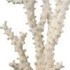 imageDeco 79 Polystone Coral Decorative Sculpture Home Decor Statue with Clear Acrylic Base Accent Figurine 26quot x 8quot x 23quot Cream9 x 4 x 14