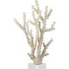 imageDeco 79 Polystone Coral Decorative Sculpture Home Decor Statue with Clear Acrylic Base Accent Figurine 26quot x 8quot x 23quot Cream9 x 4 x 14