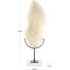 imageDeco 79 Polystone Coral Decorative Sculpture Home Decor Statue with Clear Acrylic Base Accent Figurine 26quot x 8quot x 23quot CreamCONVENIENTLY SIZED
