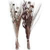 imageDeco 79 Dried Plant Foliage Home Decor Natural Foliage Natural Dried Foliage set of 2 Foliage for Decoration 15quot x 15quot x 46quot Brown