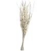 imageDeco 79 Dried Plant Palm Leaf Handmade Home Decor Natural Foliage Tall Floral Bouquet Natural Dried Foliage with Branches Foliage for Decoration 8quot x 3quot x 39quot GrayBeige