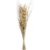 imageDeco 79 Dried Plant Palm Leaf Handmade Home Decor Natural Foliage Tall Floral Bouquet Natural Dried Foliage with Branches Foliage for Decoration 8quot x 3quot x 39quot GrayLight Brown