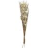 imageDeco 79 Dried Plant Palm Leaf Handmade Home Decor Natural Foliage Tall Floral Bouquet Natural Dried Foliage with Branches Foliage for Decoration 8quot x 3quot x 39quot GrayGrey