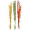 imageDeco 79 Dried Plant Pigeon pea Tall Sticks Natural Foliage Set of 2 7quotW 56quotH Brown6W  57H