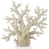imageDeco 79 Polystone Coral Decorative Sculpture Home Decor Statue with Clear Acrylic Base Accent Figurine 26quot x 8quot x 23quot Cream21 x 6 x 21