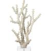 imageDeco 79 Polystone Coral Decorative Sculpture Home Decor Statue with Clear Acrylic Base Accent Figurine 26quot x 8quot x 23quot Cream9 x 4 x 14