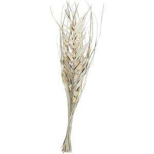 imageDeco 79 Dried Plant Palm Leaf Handmade Home Decor Natural Foliage Tall Floral Bouquet Natural Dried Foliage with Branches Foliage for Decoration 8quot x 3quot x 39quot GrayBeige