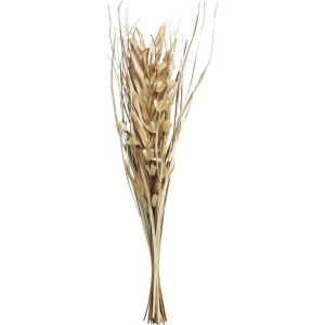 imageDeco 79 Dried Plant Palm Leaf Handmade Home Decor Natural Foliage Tall Floral Bouquet Natural Dried Foliage with Branches Foliage for Decoration 8quot x 3quot x 39quot GrayLight Brown