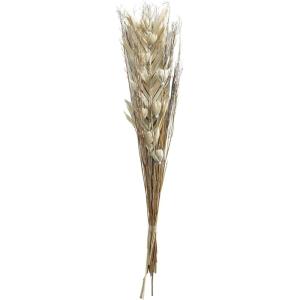imageDeco 79 Dried Plant Palm Leaf Handmade Home Decor Natural Foliage Tall Floral Bouquet Natural Dried Foliage with Branches Foliage for Decoration 8quot x 3quot x 39quot GrayGrey
