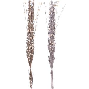 imageDeco 79 Dried Plant Pigeon pea Tall Sticks Natural Foliage Set of 2 7quotW 56quotH Brown7W  58H