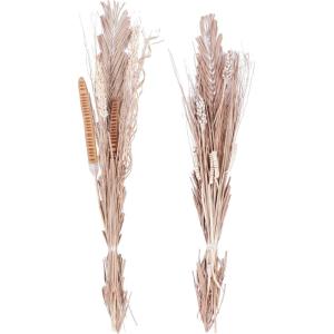 imageDeco 79 Dried Plant Pigeon pea Tall Sticks Natural Foliage Set of 2 7quotW 56quotH Brown9W  56H