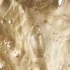 imageDeco 79 Polystone Bird Home Wall Decor Large Metallic Feather Wall Sculpture Wall Art 14quot x 2quot x 47quot Gold135L x 2W