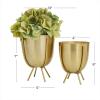 imageCosmoLiving by Cosmopolitan Metal Indoor Outdoor Planter Small Small Planter Pot with Removable Stand Set of 2 Planters 5quot 4quotW SilverGold
