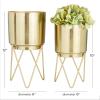 imageCosmoLiving by Cosmopolitan Metal Indoor Outdoor Planter Small Small Planter Pot with Removable Stand Set of 2 Planters 5quot 4quotW SilverGold