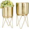 imageCosmoLiving by Cosmopolitan Metal Indoor Outdoor Planter Small Small Planter Pot with Removable Stand Set of 2 Planters 5quot 4quotW SilverGold