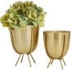imageCosmoLiving by Cosmopolitan Metal Indoor Outdoor Planter Small Small Planter Pot with Removable Stand Set of 2 Planters 5quot 4quotW SilverGold