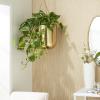 imageCosmoLiving by Cosmopolitan Metal Indoor Outdoor Wall Planter Indoor Outdoor Hanging Dome Hanging Planter with Chain Set of 2 Plant Hanger 9quot 11quotH GoldGold