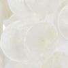 imageDeco 79 Capiz Shell Waterfall Windchime 5quot x 5quot x 27quot BlueWhite