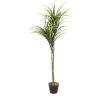 imageDeco 79 Faux Foliage Dracaena Indoor Outdoor Artificial Plant with Round Fluted Pot 31quot x 31quot x 55quot GreenGreen