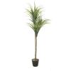 imageDeco 79 Faux Foliage Dracaena Indoor Outdoor Artificial Plant with Round Fluted Pot 31quot x 31quot x 55quot GreenGreen