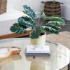 imageDeco 79 Faux Foliage Monstera Artificial Plant with Realistic Leaves and Black Plastic Pot 21quot x 20quot x 16quot Green