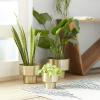 imageDeco 79 Metal Indoor Outdoor Planter Brushed Small Planter Pot Set of 3 Planters 7quot 8quot 10quotH GoldSet of 3 Planters 7  8  10H