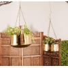 imageDeco 79 Metal Indoor Outdoor Wall Planter Indoor Outdoor Hanging Dome Hanging Planter with Chain Set of 2 Plant Hanger 5quot 7quotH SilverGold