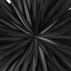 imageDeco 79 Metal Sunburst Home Wall Decor Large Layered 3D Wall Sculpture Wall Art 36quot x 4quot x 36quot Black355L x 35W