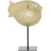 imageDeco 79 Polyresin Blowfish Handmade Decorative Sculpture Spiked Home Decor Statue with Stand Accent Figurine 7quot x 5quot x 9quot Gold10 x 7 x 14
