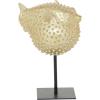imageDeco 79 Polyresin Blowfish Handmade Decorative Sculpture Spiked Home Decor Statue with Stand Accent Figurine 7quot x 5quot x 9quot Gold7 x 5 x 9