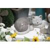 imageDeco 79 Polystone Cat Decorative Garden Sculpture Indoor Outdoor Garden Statue Outdoor Sculpture 15quot x 9quot x 7quot GrayGray