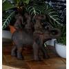 imageDeco 79 Polystone Elephant Decorative Sculpture Home Decor Statue Accent Figurine 17quot x 4quot x 8quot BlackBrown