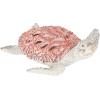 imageDeco 79 Polystone Pelican Decorative Sculpture Textured Home Decor Statue with Red Feathers and Round Blocks Accent Figurine 8quot x 4quot x 13quot RedRed