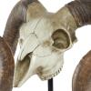 imageDeco 79 Polystone Ram Decorative Sculpture Skull Home Decor Statue Accent Figurine 22quot x 8quot x 17quot Brown