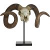 imageDeco 79 Polystone Ram Decorative Sculpture Skull Home Decor Statue Accent Figurine 22quot x 8quot x 17quot Brown