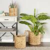 imageDeco 79 Seagrass Handmade Decorative and Functional Storage Basket Woven Basket Organizer with Extended Handles Set of 3 Basket for Storage 20quot 17quot 13quotH Brown