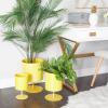 imageThe Novogratz Metal Indoor Outdoor Planter Small Planter Pot Set of 3 Planters 14quot 12quot 10quotH BlackYellow