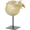imageDeco 79 Polyresin Blowfish Handmade Decorative Sculpture Spiked Home Decor Statue with Stand Accent Figurine 7quot x 5quot x 9quot Gold7 x 5 x 9