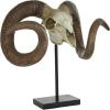 imageDeco 79 Polystone Ram Decorative Sculpture Skull Home Decor Statue Accent Figurine 22quot x 8quot x 17quot Brown