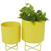 imageThe Novogratz Metal Indoor Outdoor Planter Small Planter Pot Set of 3 Planters 14quot 12quot 10quotH BlackYellow