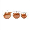 imageDeco 79 Bohemian Wood Decorative Bowl Teak 13quot D 9quot H75551 13quot x 9quot BrownBrown
