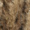 imageDeco 79 Dried Plant Pampas Home Decor Natural Foliage Natural Dried Foliage with Long Stems Foliage for Decoration 2quot x 1quot x 35quot BrownLight Brown