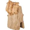 imageDeco 79 Polystone Cow Decorative Sign Chalkboard with Brown Tree Trunk Frame 7quot x 4quot x 11quot Black7W x 99H