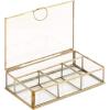 imageCosmoLiving by Cosmopolitan Glass Decorative Jewelry Box Jewelry Organizer with Clear Glass Jewelry Holder 9quot x 6quot x 2quot GoldGold
